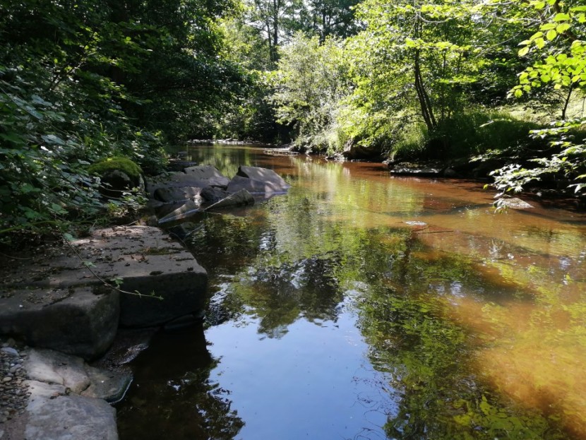 Lower Longtown - AP from Wirral